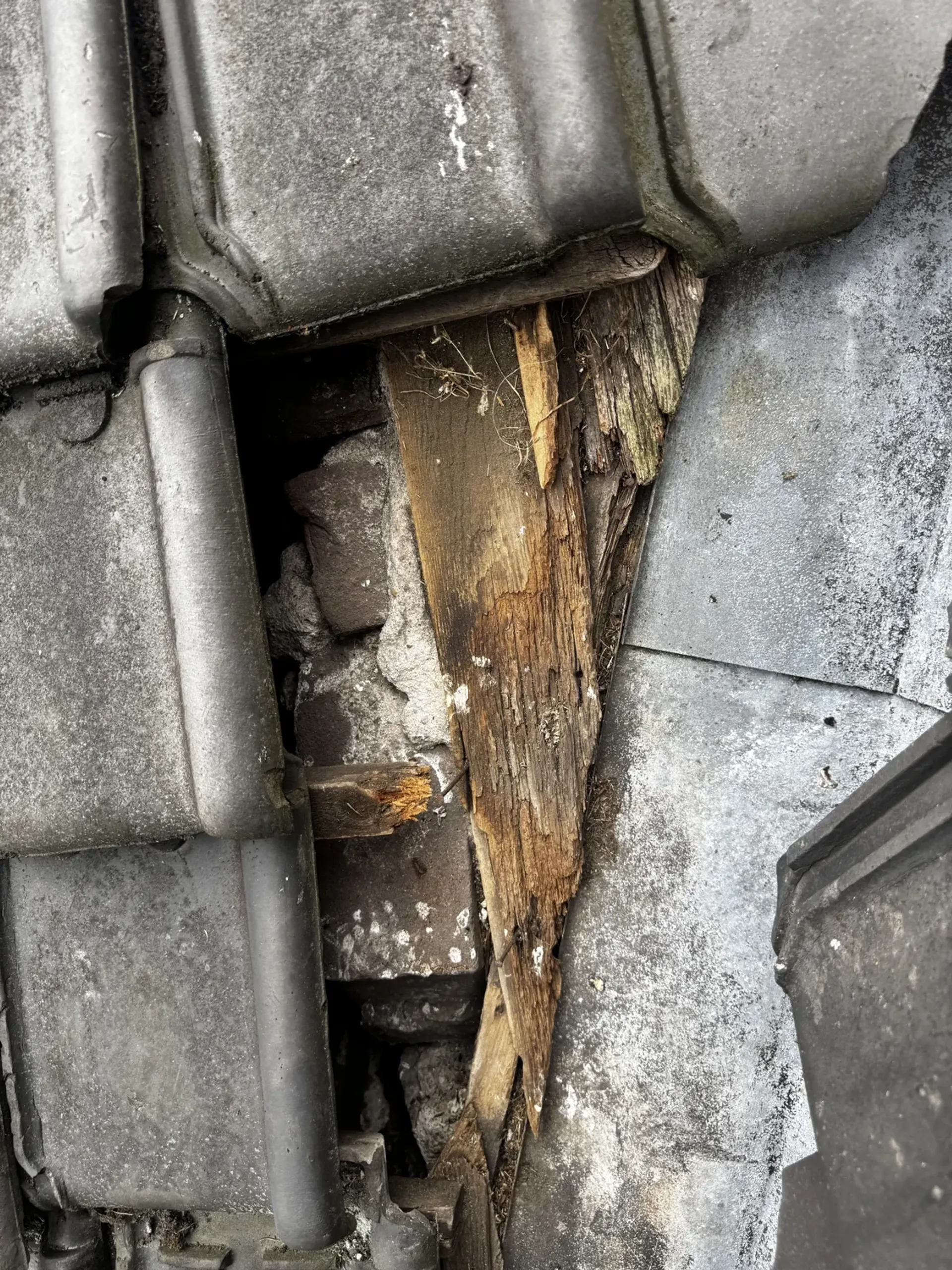 Dakschade veilig vastleggen en herstellen